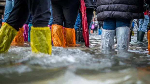 flood flood
