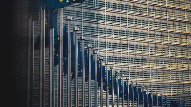 political-risks political-risks