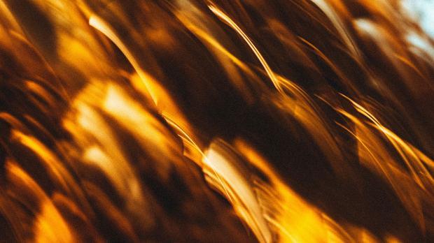 cyberwatchreport cyberwatchreport