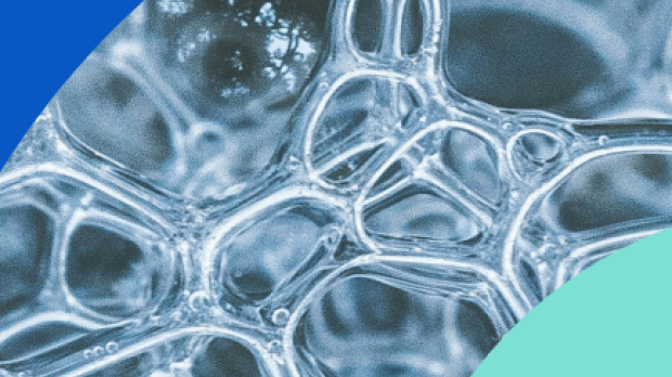 ai-buildout ai-buildout